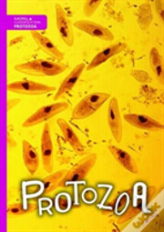 Protozoa