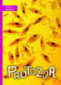 Protozoa - Preview