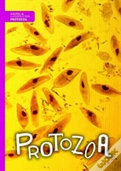 Capa do artigo Protozoa