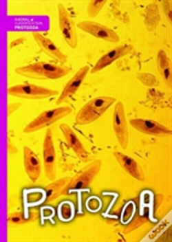 Capa do artigo Protozoa