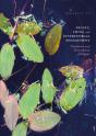 Proust, China And Intertextual Engagement - Preview