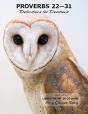 Proverbs 22-31 Definitions For Devotions - Preview