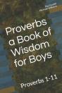 Proverbs  A Book Of Wisdom For Boys: Pro - Preview