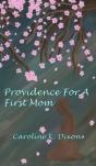 Providence For A First Mom - Preview