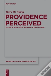Providence Perceived