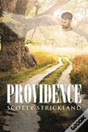 Capa do artigo Providence