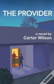 Capa do artigo Provider
