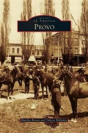 Provo - Preview