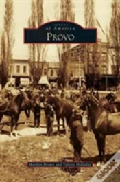 Capa do artigo Provo