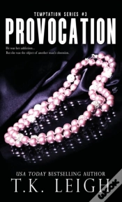 Capa do artigo Provocation