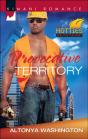Provocative Territory - Preview