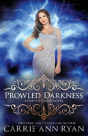 Prowled Darkness - Preview