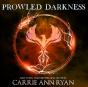 Prowled Darkness - Preview