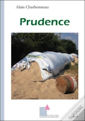 Capa do artigo Prudence