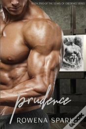 Capa do artigo Prudence