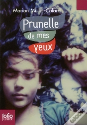 Capa do artigo Prunelle De Mes Yeux