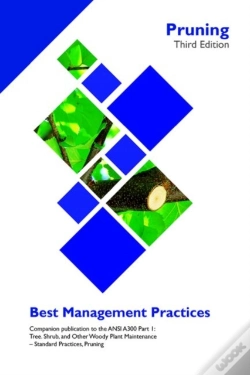 Capa do artigo Pruning
