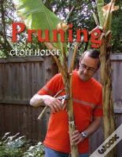 Capa do artigo Pruning