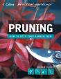 Pruning - Preview