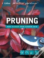 Capa do artigo Pruning