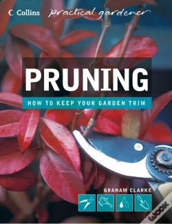 Capa do artigo Pruning