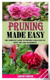 Capa do artigo Pruning Made Easy