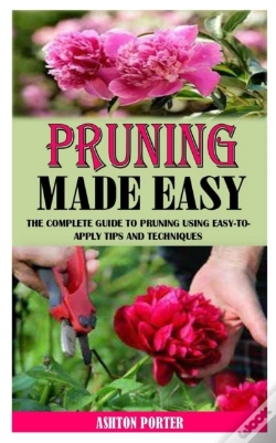Capa do artigo Pruning Made Easy