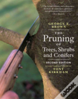 Pruning Of Trees, Shrubs And Conifers