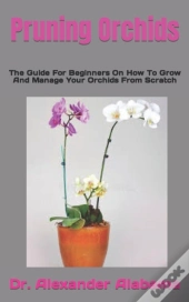 Pruning Orchids