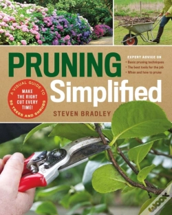 Capa do artigo Pruning Simplified