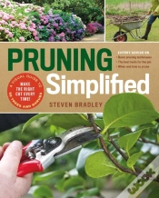 Capa do artigo Pruning Simplified