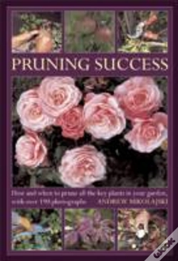 Capa do artigo Pruning Success