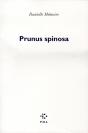 Prunus Spinosa - Preview