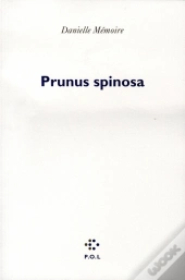 Prunus Spinosa