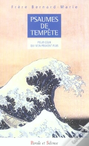 Capa do artigo Psaumes De Tempête : Pour Ceux Qui N