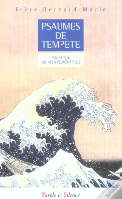 Capa do artigo Psaumes De Tempête : Pour Ceux Qui N'En Peuvent Plus