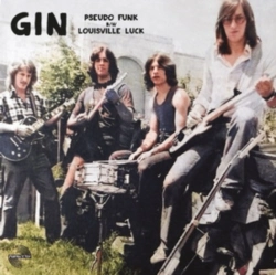 Capa do artigo Pseudo Funk - Vinil