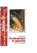 Pseudochromis En Aquarium