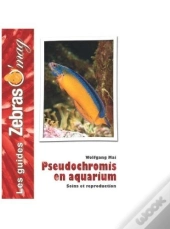 Pseudochromis En Aquarium