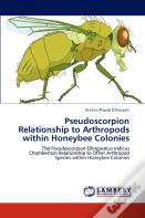Pseudoscorpion Relationship To Arthropods Within Honeybee Colonies