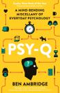 Psy-Q - Preview