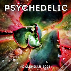 Capa do artigo Psychedelic Calendar 2021
