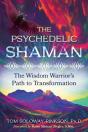 Psychedelic Shaman - Preview
