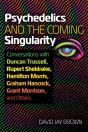 Psychedelics And The Coming Singularity - Preview