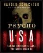 Psycho Usa - Preview