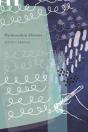 Psychoanalytic Memoirs - Preview