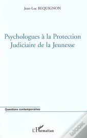 Psychologue A La Protection Judiciaire De La Jeunesse