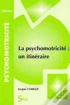 Psychomotricité Un Itinéraire