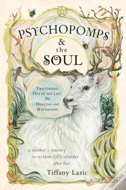 Capa do artigo Psychopomps & The Soul