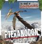 Pteranodon - Preview
